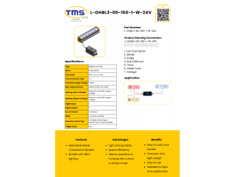 L-OHBL3-00-160-1-W-24V